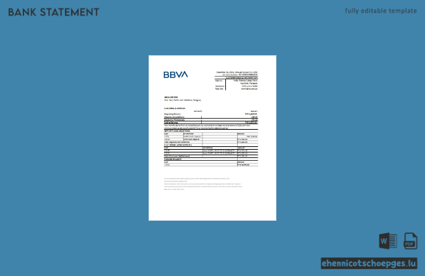 Beispiel-Excel-Vorschau eines Kontoauszugs der BBVA-Bank in Paraguay